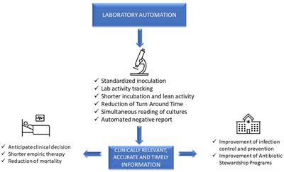 Laboratory automation, informatics, and artificial intelligence: current and future perspectives in clinical microbiology